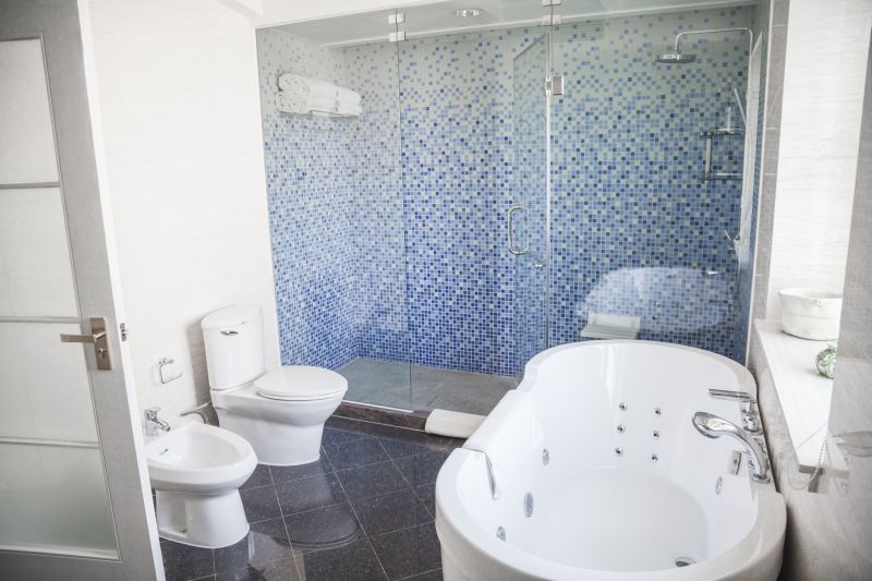 Bathroom Renovation Professional